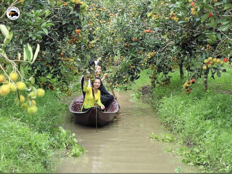 Vườn trái cây ở An Giang