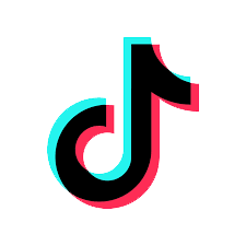 Tiktok Icon