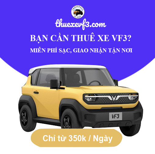 VF3 thuê xe đà nẵng
